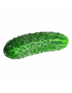 Spanish Cucumber 1kg