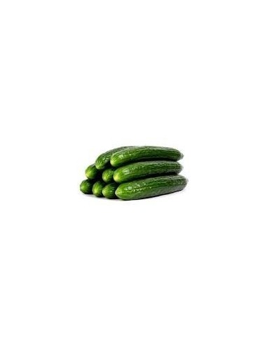 Ducth Cucumber 1kg