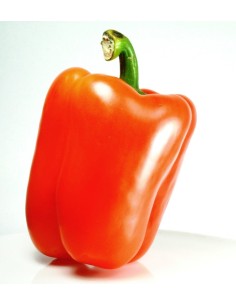 Orange Pepper 1kg