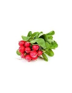 Radish Bunch