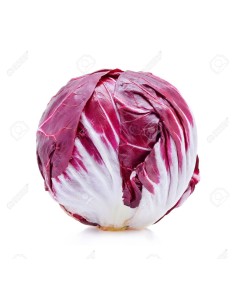 Red Radicchio