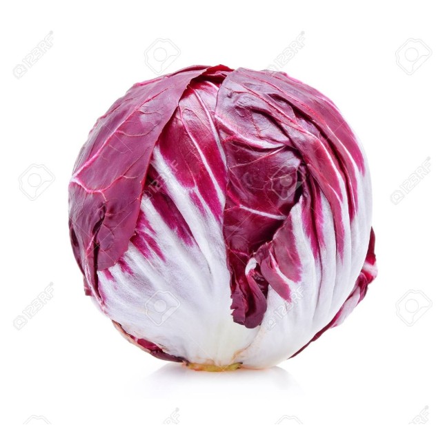 Red Radicchio