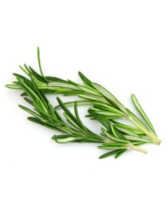 Rosemary Bunch