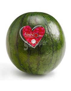 Watermelon Fashio Black ( aprox…)
