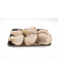 Alpaca MushrromTray