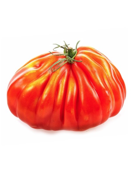 Tomato Heart 1kg
