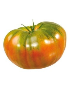 Tomato Raff 1kg