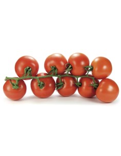 Tomato Rama Extra 1kg