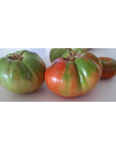 Basque Tomato Salad 1kg