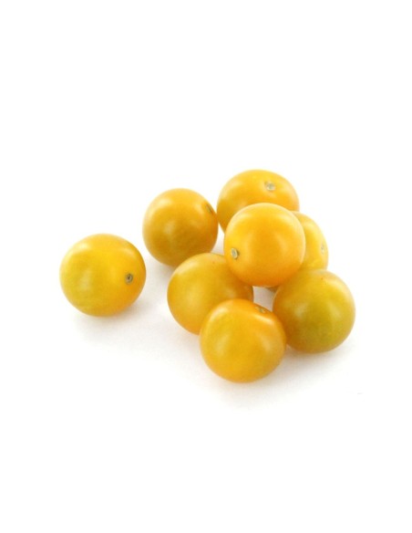 Tomato xerry Yellow tray