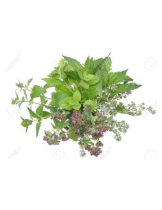 Lemon Thyme Bunch 50g