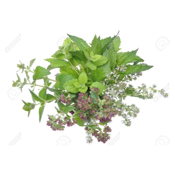 Lemon Thyme Bunch 50g