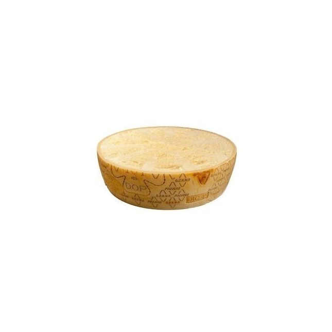 GRANA PADANO DOP 100g