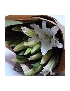 Bouquet Of White Lilies