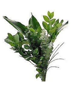 Mixed Green Foliage