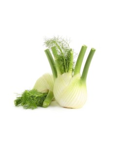 Fresh Fennel 1kg