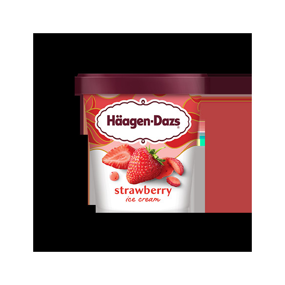Haagen Dazs Vamilla Frozen Ice Cream - 794gr (828ml)