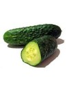 Ibiza Cucumber 1kg
