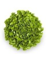 Ibiza Green Oak Leaf Lettuce x 1 Unit