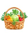Veggie Basket Green