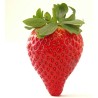 Strawberry  Extra National 1kg