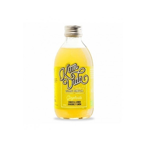 Kombucha gingervida jengibre y