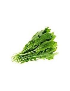 Fresh Rocket Bunch