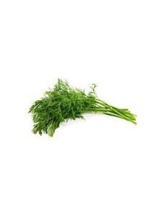 Fresh Dill bunch