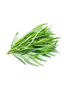 Fresh Tarragon Bunch