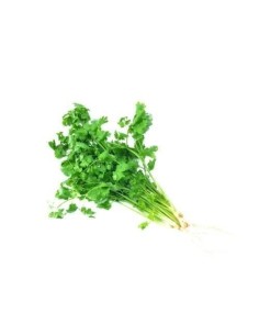 Fresh Coriander Bunch