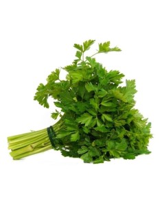 Fresh Parsley Curly Bunch