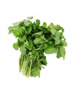 Fresh Watercress Bunch
