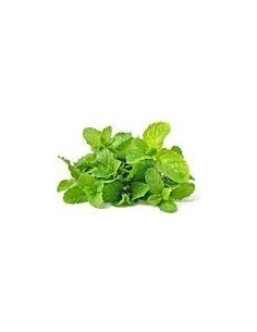 Fresh Mint Bunch