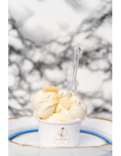 Bourbon vanilla from Madagascar ice cream 50cl