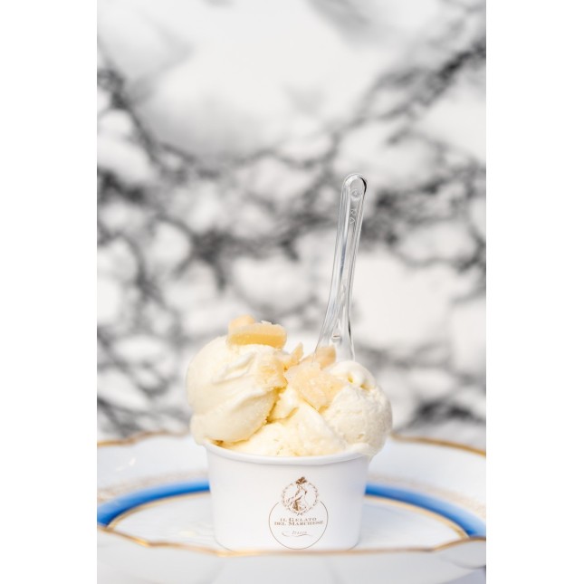 Bourbon vanilla from Madagascar ice cream 50cl