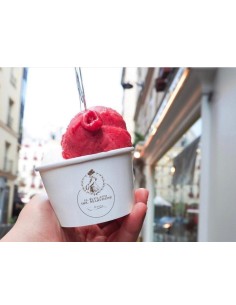 French Gariguette strawberries vegan sorbet 50cl