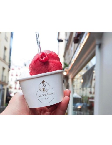 French Gariguette strawberries vegan sorbet 50cl