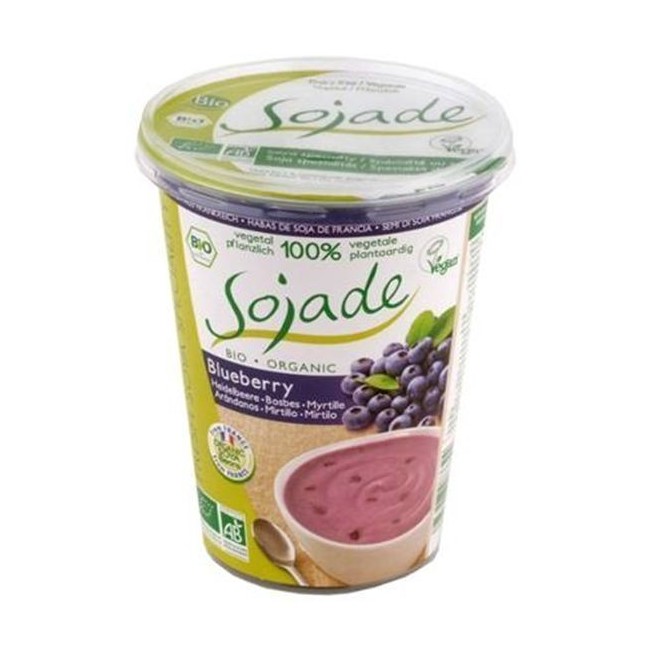 Blueberry Soja Yoghurt 400g