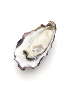 Oyster 1u