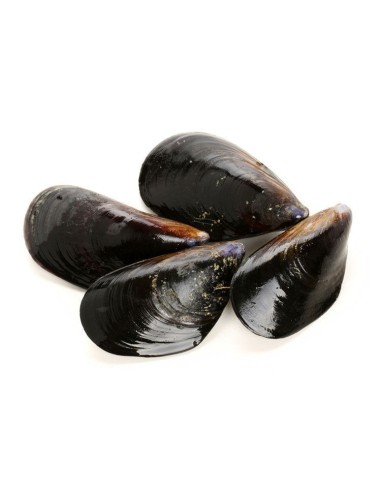 Gallicia Mussels 1Kg