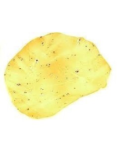 Plain Poppadoms (Uncooked) 8 Units