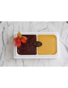 Ciccolato and Mango ice cream 50cl