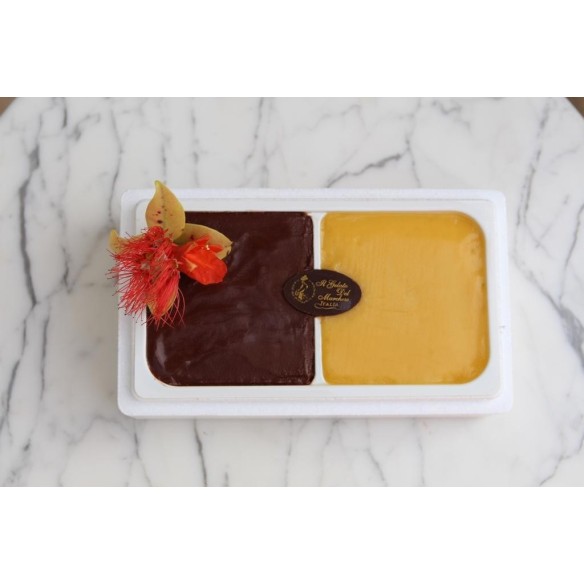 Ciccolato and Mango ice cream 50cl