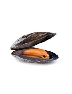 Mussels 1kg