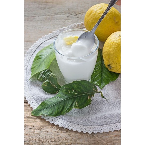 Raspberries vegan sorbet 500ml