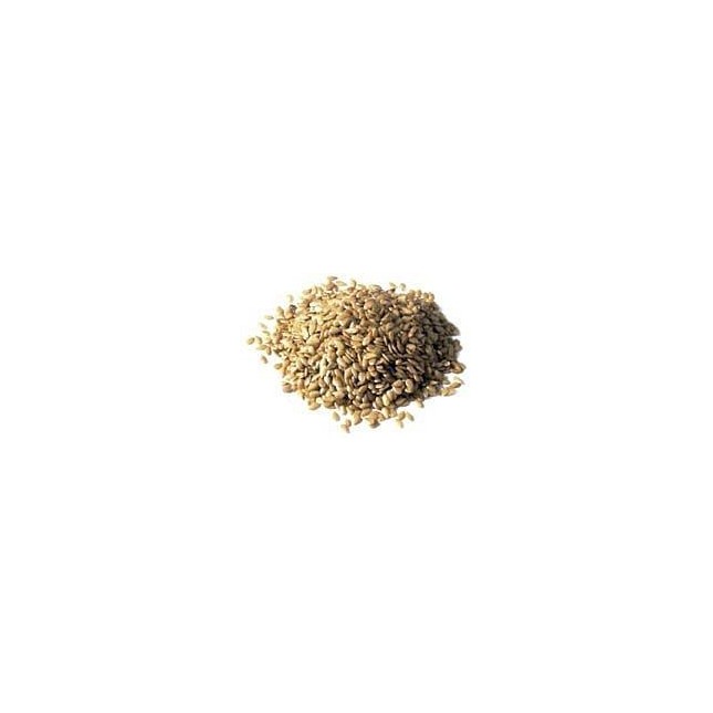 Organic Linseed Golden Seeds 250g