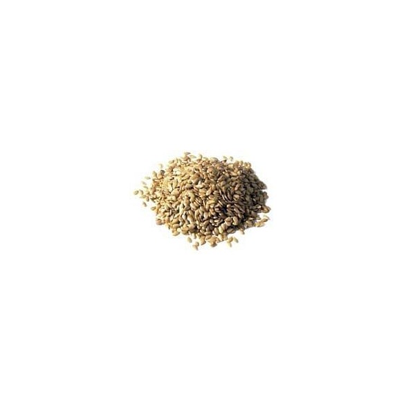 Organic Linseed Golden Seeds 250g