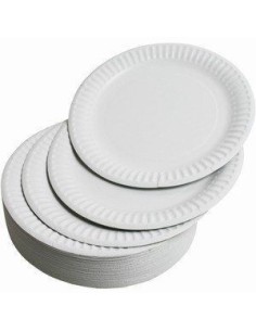 White Plastic Plates 10 Units