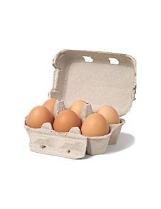 Eggs - Ecological - Units 6