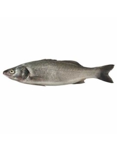 Seabass Whole Clean Approx 600g